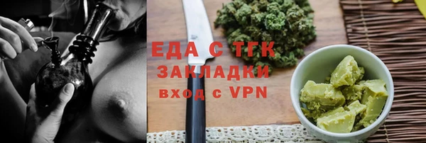 индика Сосновоборск