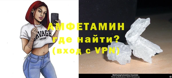 индика Сосновоборск