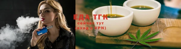 шишки Сосновый Бор