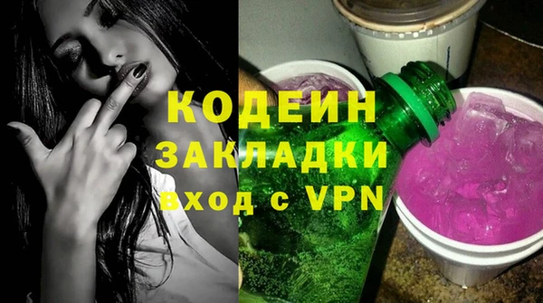 индика Сосновоборск