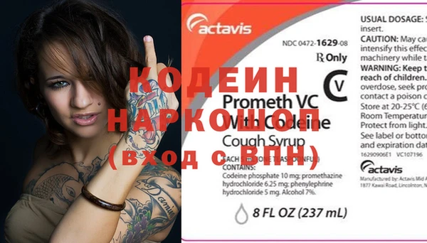 индика Беломорск
