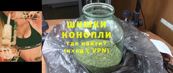 стаф Белокуриха