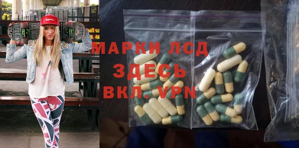 индика Беломорск