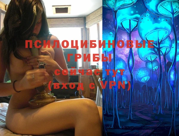 индика Беломорск