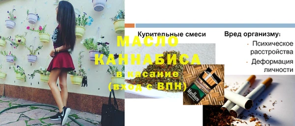 индика Беломорск