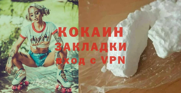 шишки Сосновый Бор