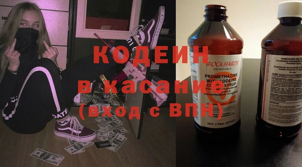 индика Сосновоборск