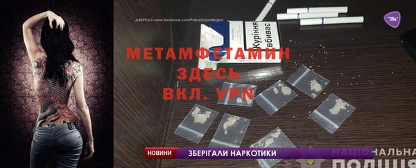 шишки Сосновый Бор
