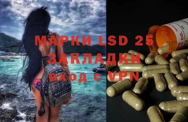 стаф Белокуриха