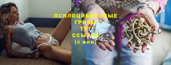 прущие крисы Белоозёрский